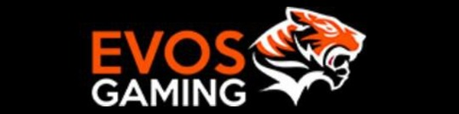 EVOS Gaming Logo